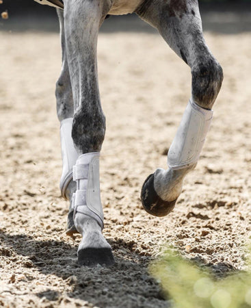 horse with arthritis and bad knees taking joint supplements to improve flexibility