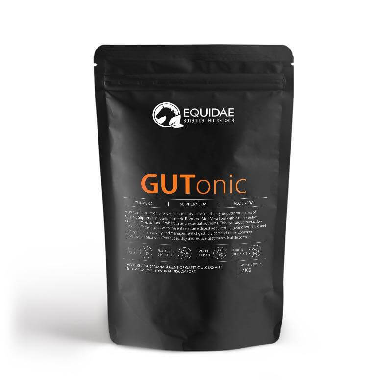 Gutonic horse probiotic to help with horse hind gut ulcer treatment