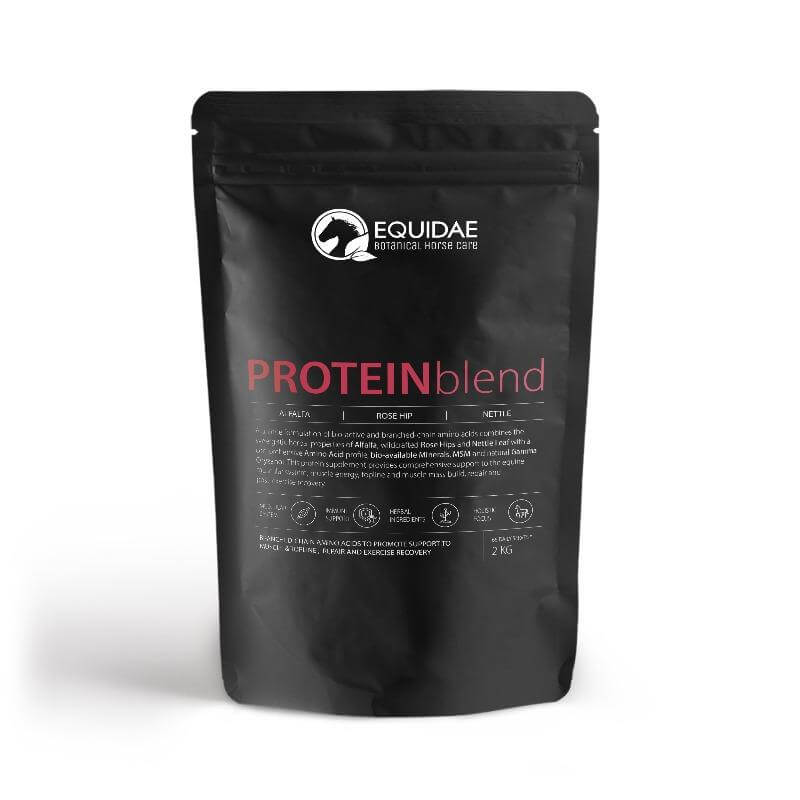 Bag of PROTEINblend natural protein supplement for horses in shop in Australia