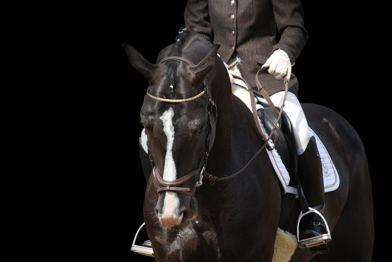 Feeding for Topline: The Basics of Building Muscular Strength in Horses