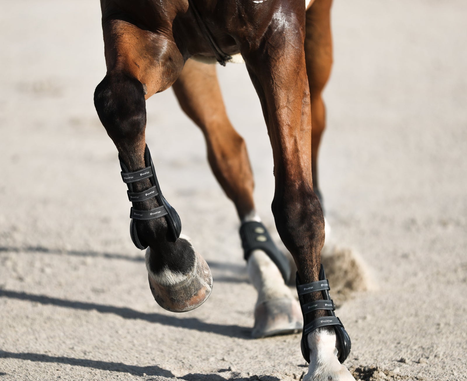 Supercharge Your Horse’s Health: The Benefits of Antioxidants