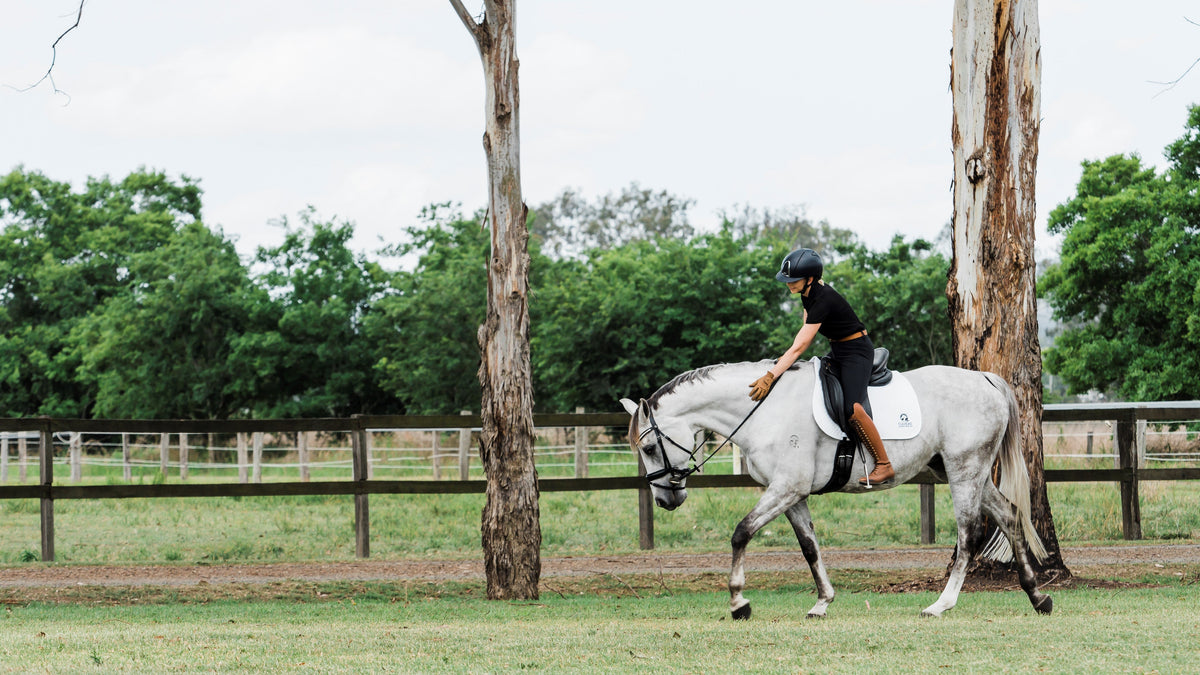 Holding Condition Through Winter Starts at the Foundation