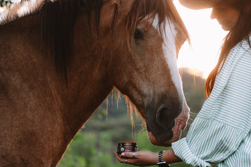 Natural Horse Care