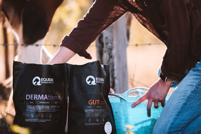 Equine Supplements