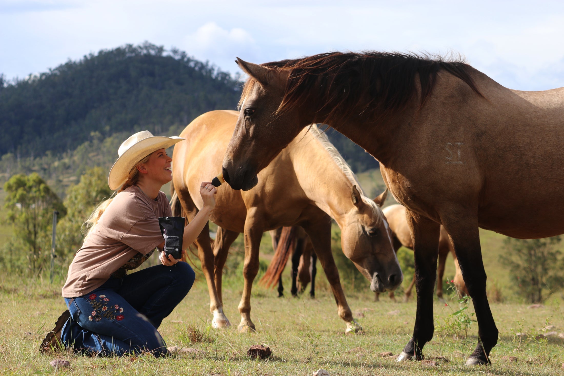 Skin Care for Horses
