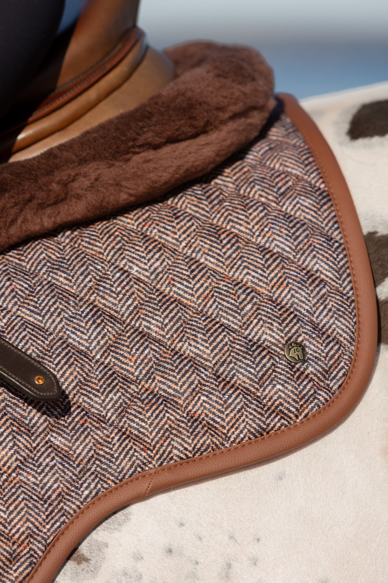 Sixteen Cypress Brown Herringbone Show-Jump Bundle