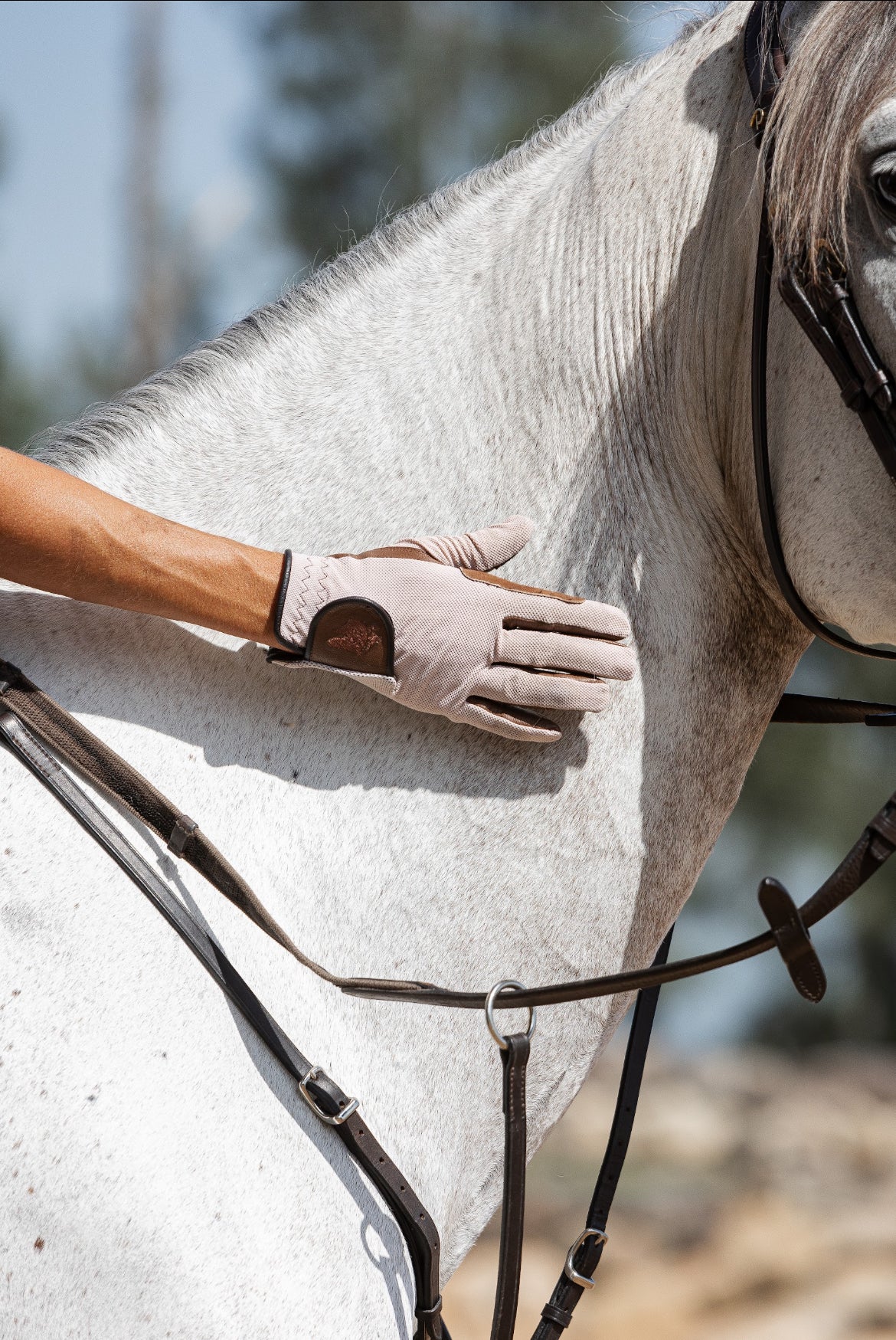 Sixteen Cypress Oat & Cognac Gloves