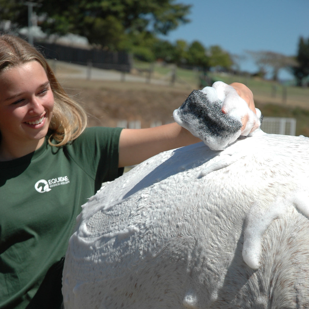Trio of Natural Shampoo