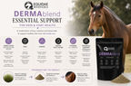 DERMAblend skin support