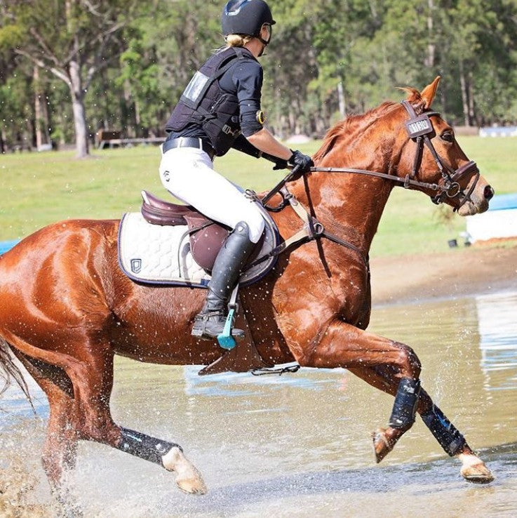 HYDROblend - Electrolytes for Horses