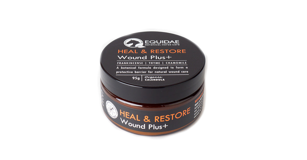 First-Aid Bundle For Horses