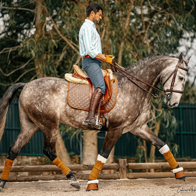 Sixteen Cypress Brown-Herringbone Dressage Bundle