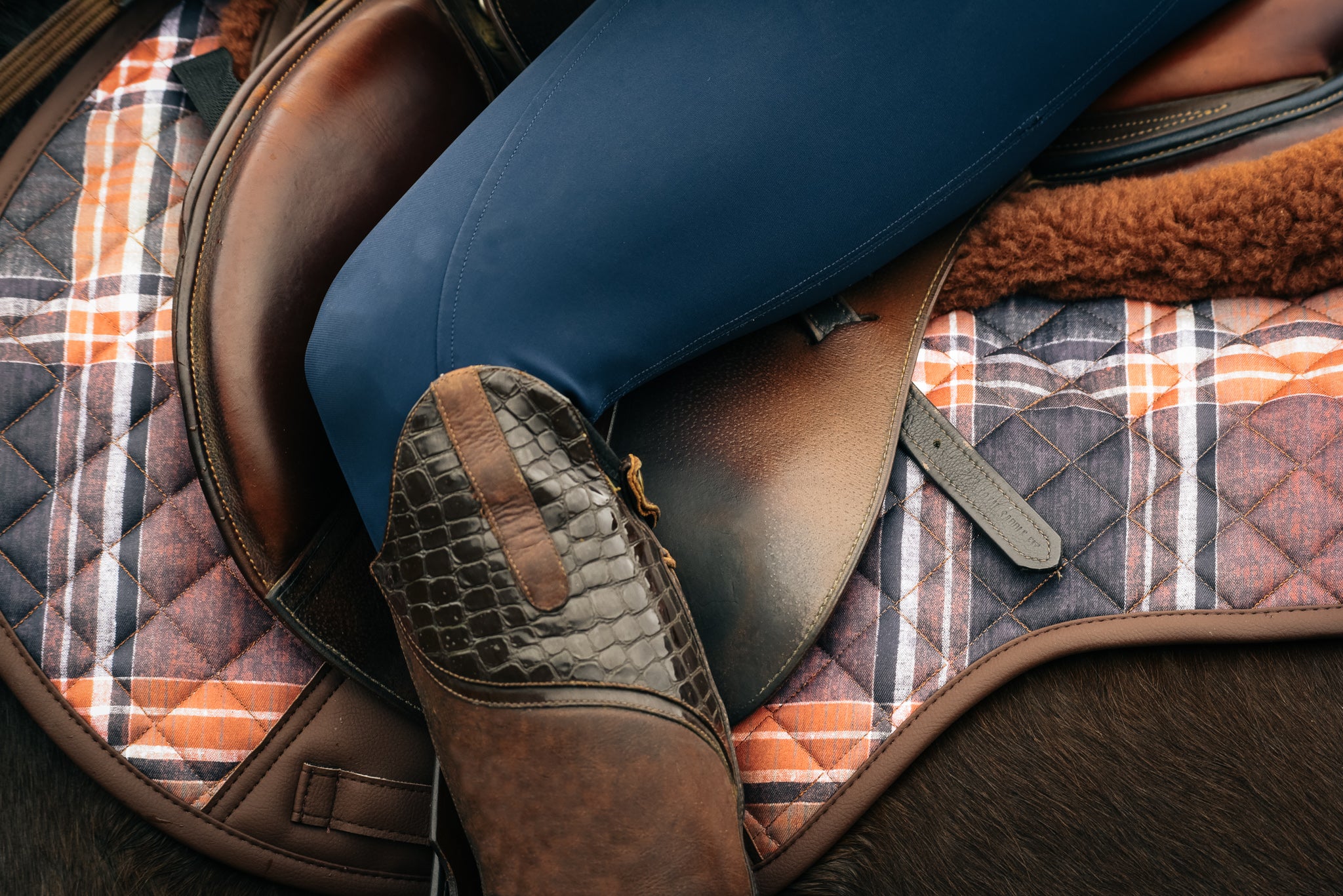 Sixteen Cypress Field Plaid & Hickory Bundle