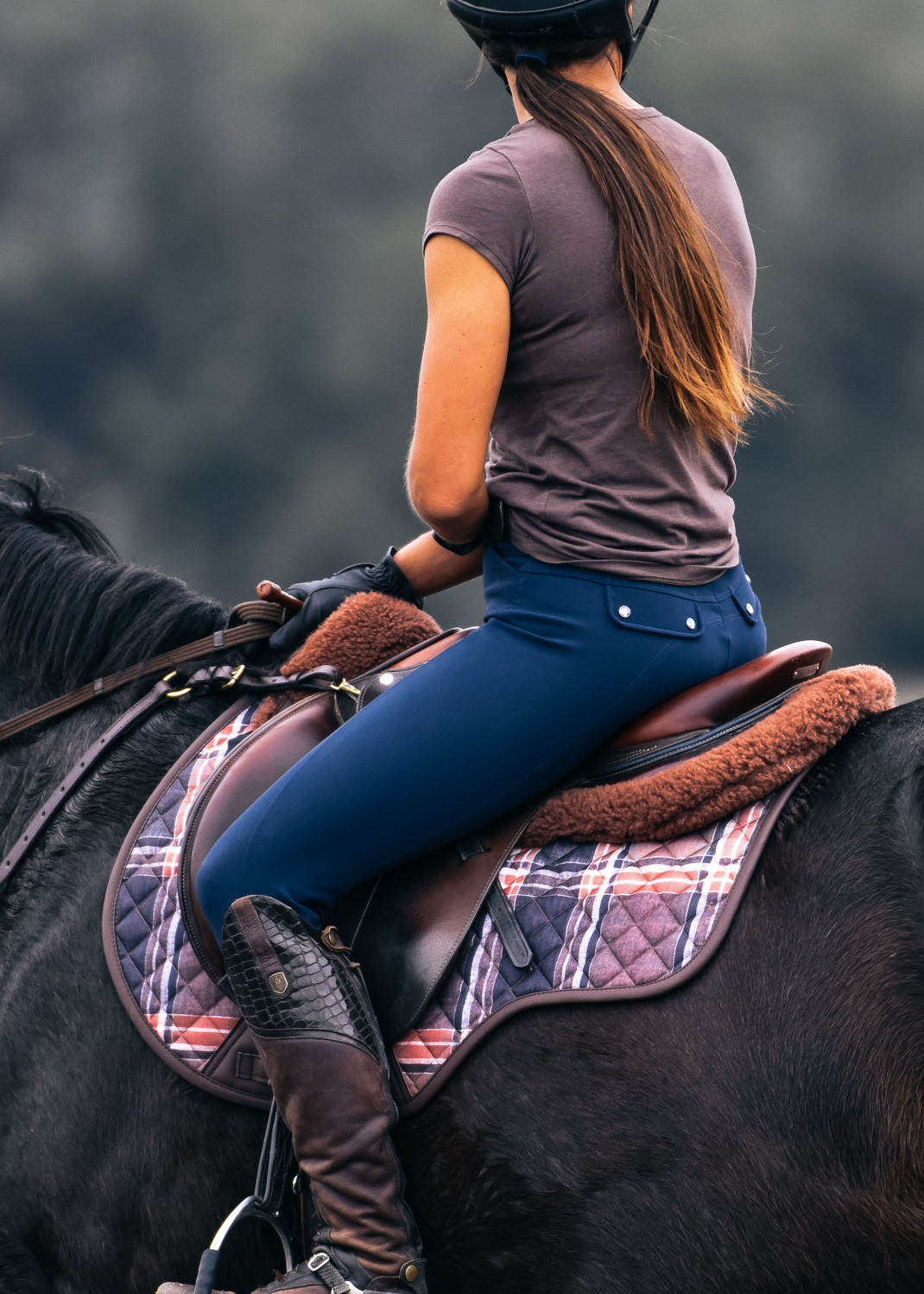 Sixteen Cypress Field Plaid & Hickory Bundle