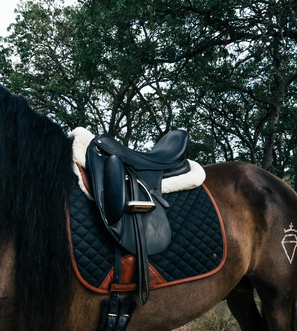 Sixteen Cypress Black & Cognac Dressage Bundle
