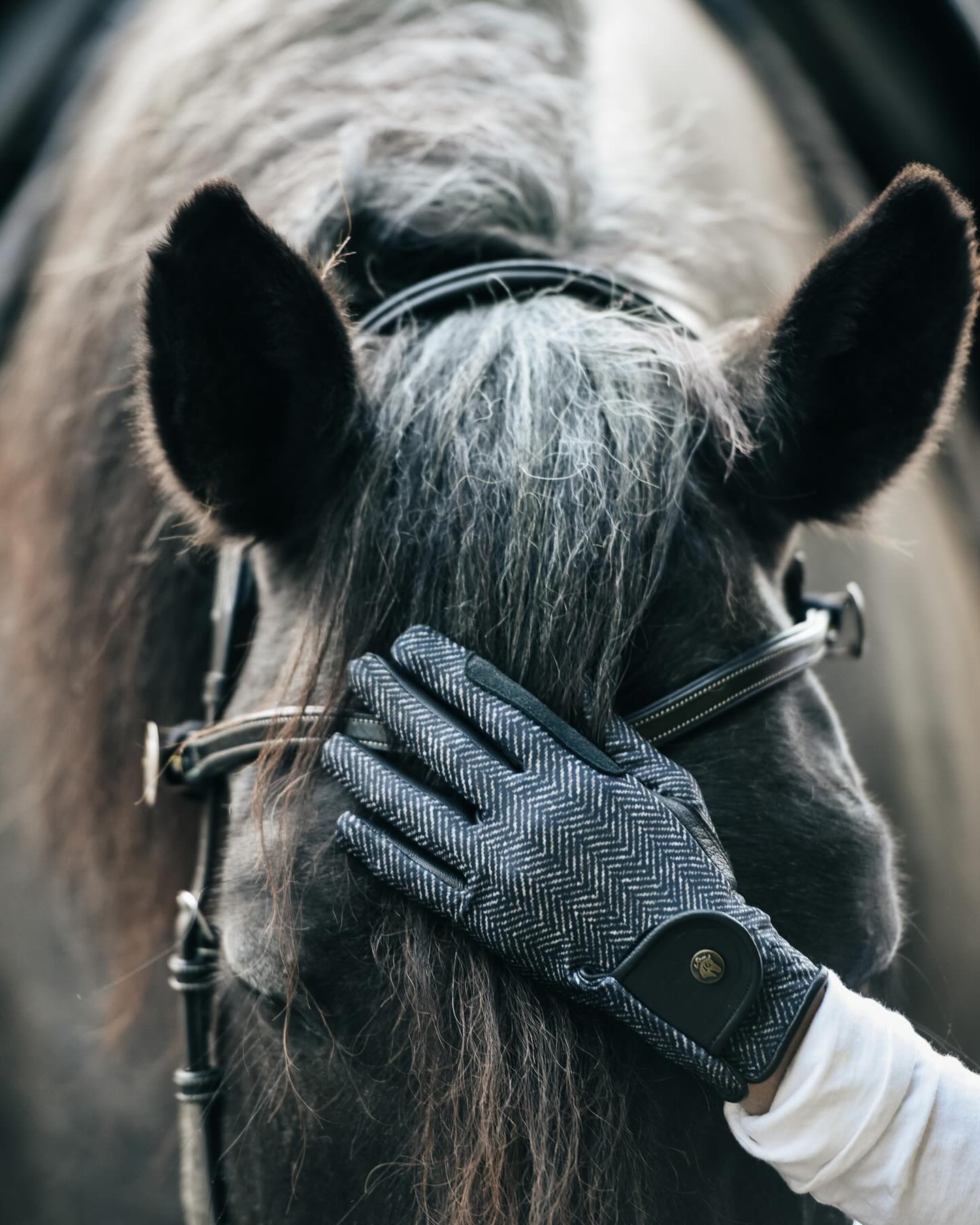 Sixteen Cypress Black Herringbone Gloves