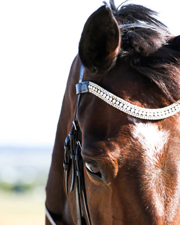 Supplements and food deisgned to calm anxious horses being fed to several showjumping horses on a farm in Australia