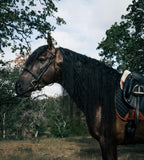 Sixteen Cypress Black & Cognac Dressage Bundle