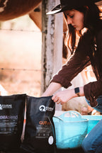 GUTonic - Equine Gut & Digestion Support