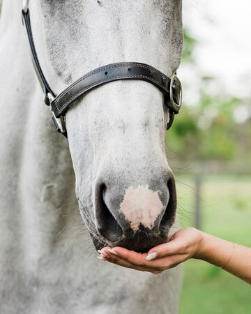Young girls using biotin horse hoof strengthener and other horse care products to improve the health of her horses in Australia