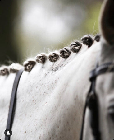 Horse rider using the best horse grooming products in Australia to keep her horses hooves strong and its coat healthy and strong