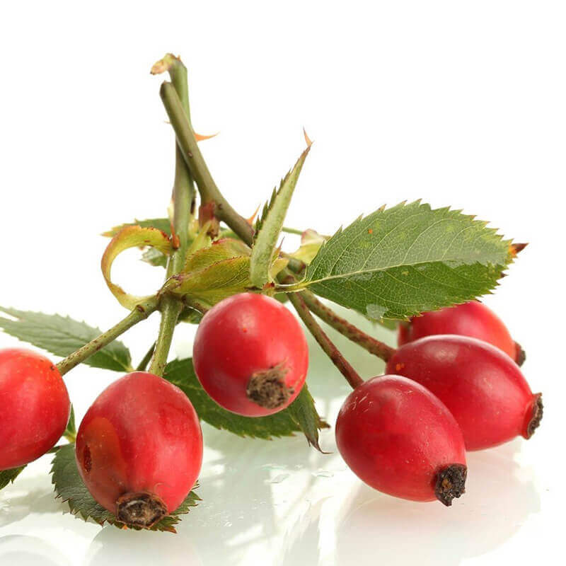 Collection of natural ingredients for Hoofblend hoof supplement for horses