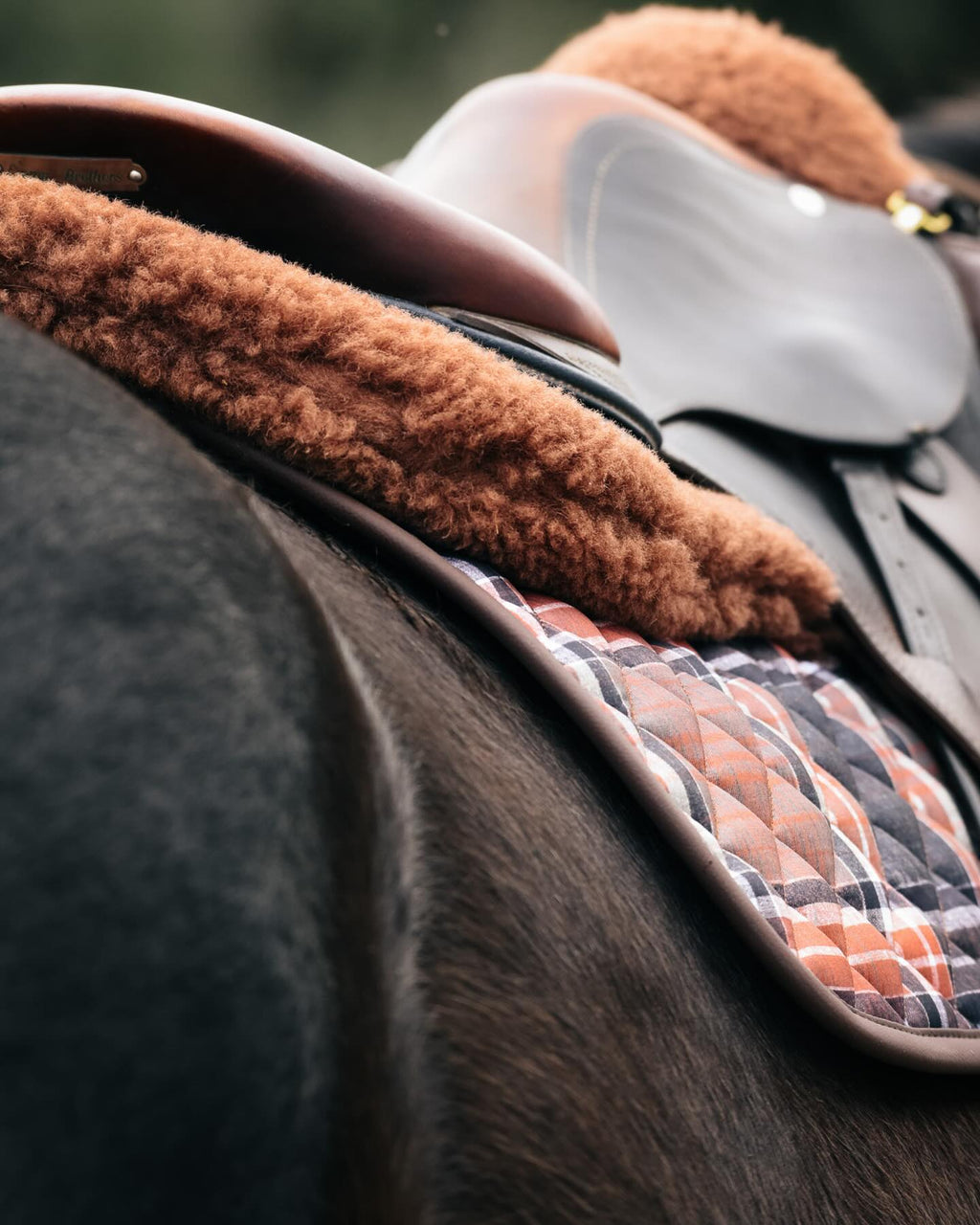 Sixteen Cypress Field Plaid & Hickory Bundle