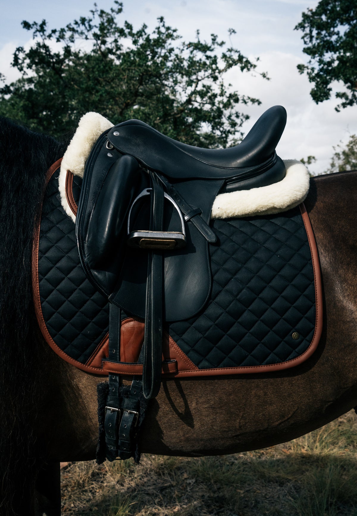 Sixteen Cypress Black &amp; Cognac Dressage Bundle