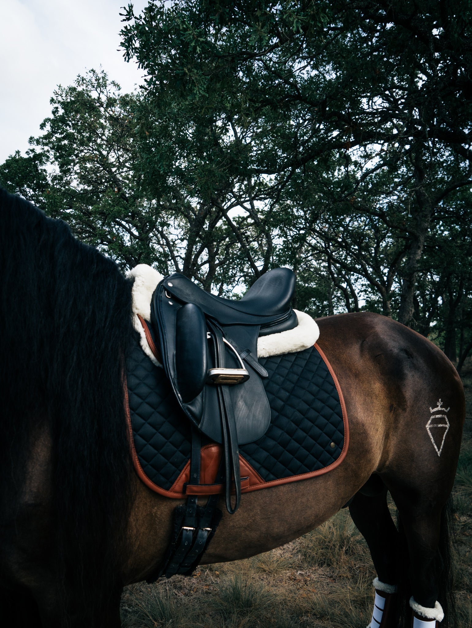 16C Black & Cognac, Dressage Pad