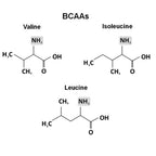 Diagram showing chemical structure or amino acid supplements for horses to keep muscles strong.