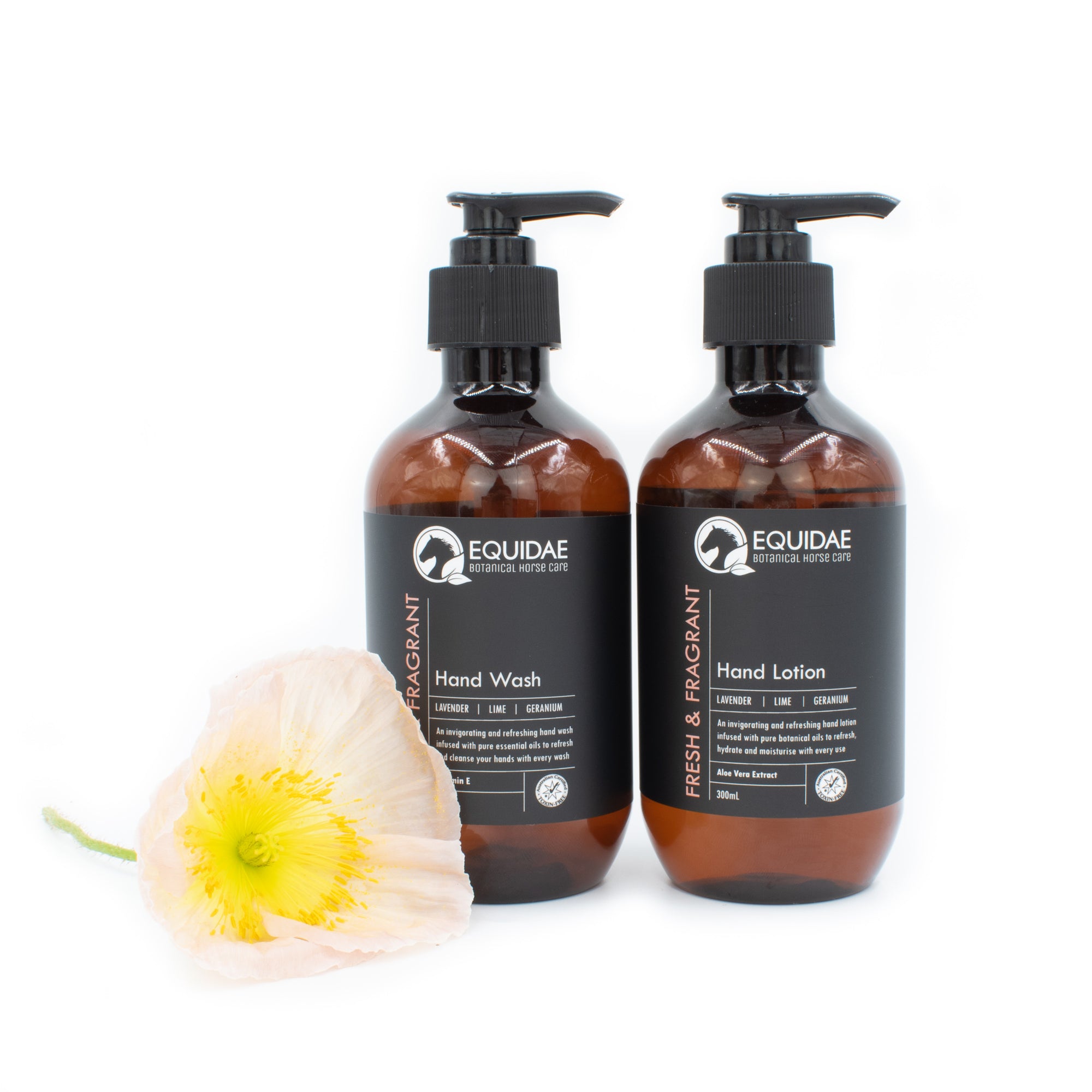 FRESH & FRAGRANT Hand Wash and Hand Lotion Pack with a Calico bag