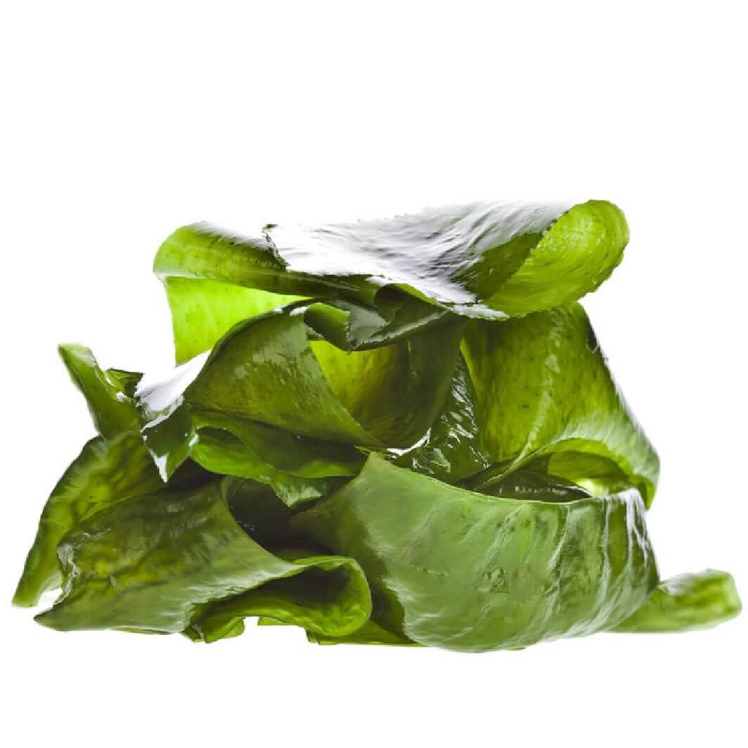 Collection of ingredients for horse itchy skin supplement