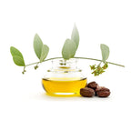 FRESH & FRAGRANT Hand Lotion