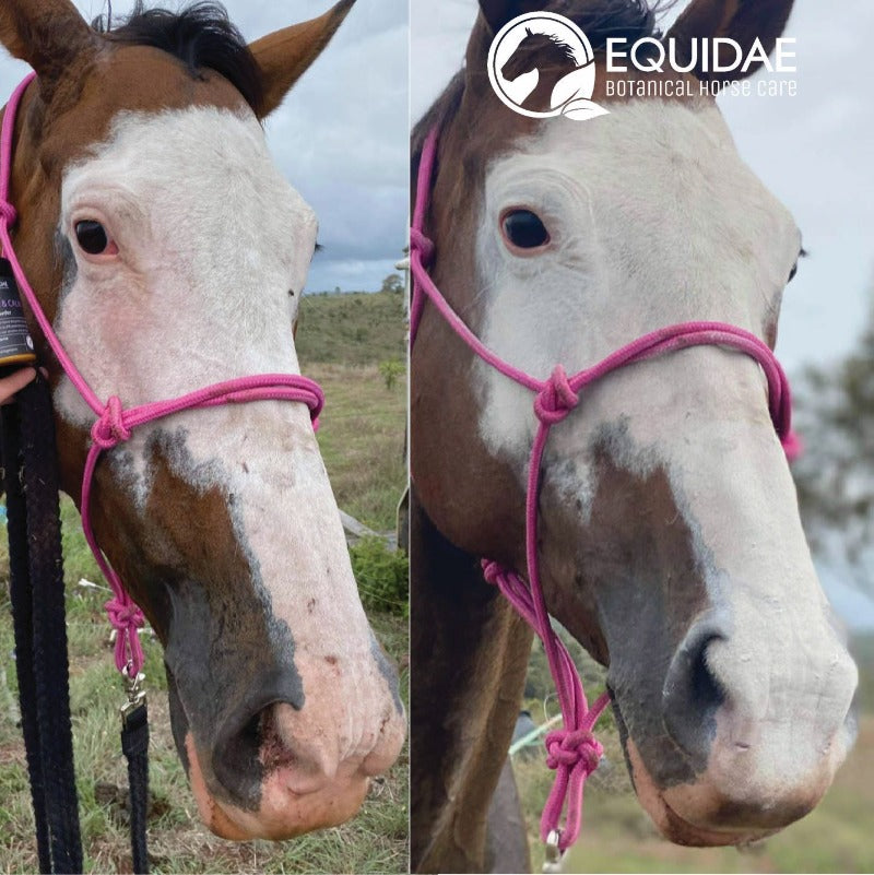 SOOTHING &amp; CALM Horse Sunscreen Powder (Sunscreen for Horses)