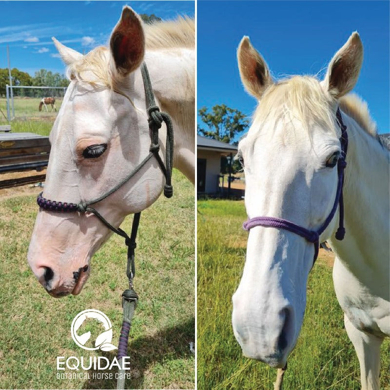 SOOTHING &amp; CALM Horse Sunscreen Powder (Sunscreen for Horses)