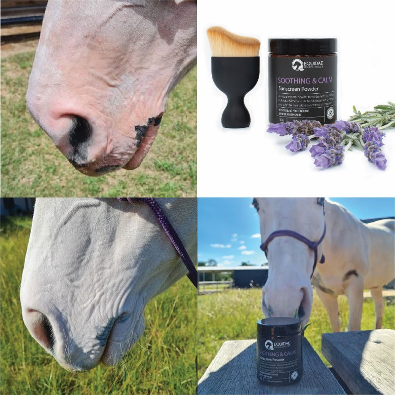 SOOTHING &amp; CALM Horse Sunscreen Powder (Sunscreen for Horses)