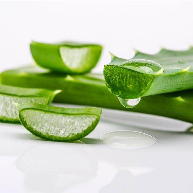 Table with aloe vera being crushed to be added to aloe vera Queensland itch treatment for horses