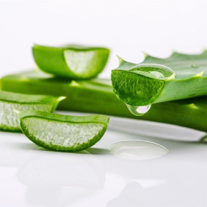 Aloe vera nutrients included in Equidae horse conditioner