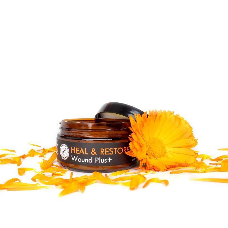 Wound Healing Cream Horse Cream Equidae Botanicals