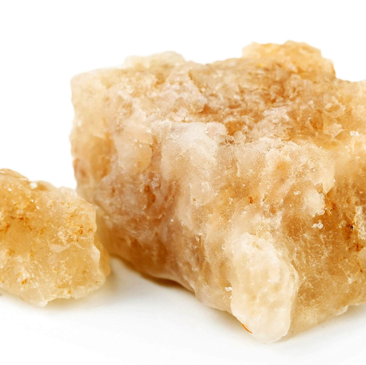 Hot, dehydrated horses being given electrolyte paste to help avoid dehydration in summer heat.