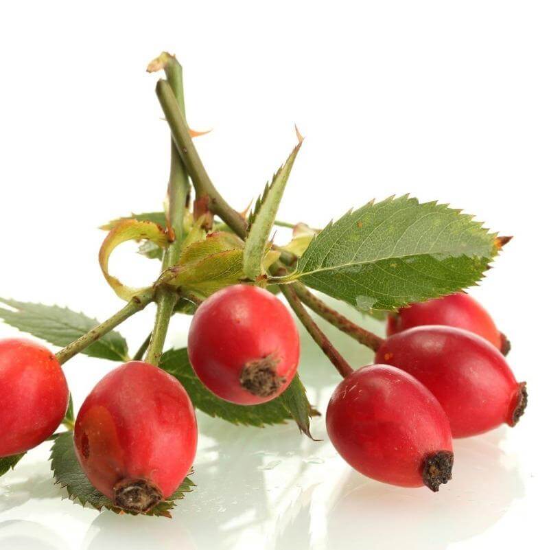 Several herbs for horses being combined to create healthy natural feed supplements for horses