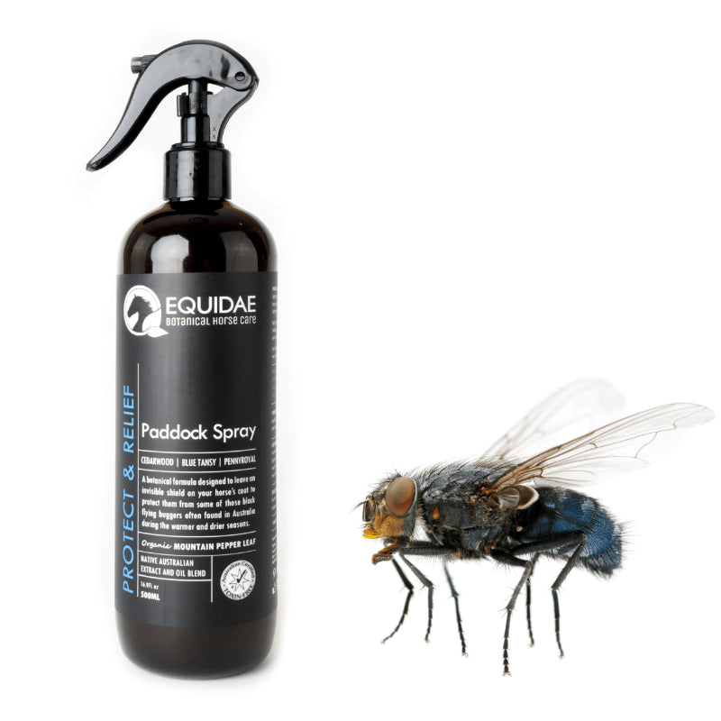 Fly repellent spray hotsell