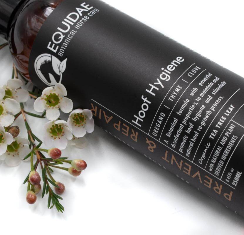 Equidae horse hoof spray to clean dirty hooves and treat horse hoof thrush