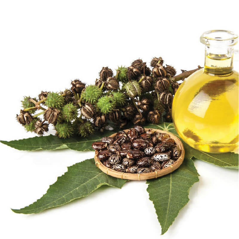 Bottle of castor oil being poured into bottle of hoof oil for horses