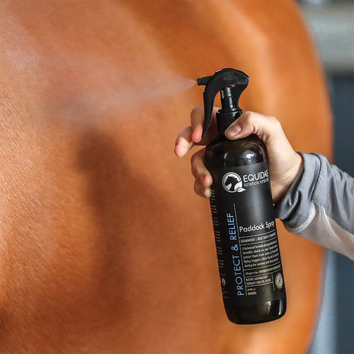 Horse fly repellent being sprayed onto coat of horse in paddock