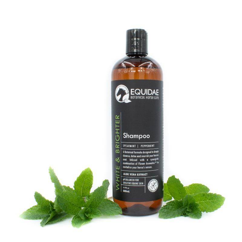 Bottle of purple shampoo for horses with light coloured coats being rubbed into coat of horse with white coat