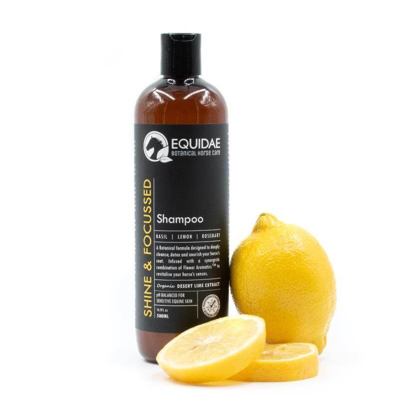 Bottle of the best moisturising horse shampoo Australia has to offer on shelf of stable in Queensland with several horses with shiny coats in background