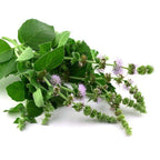 Ingredients on table ready to be ground up and added to natural purple shampoo for horses