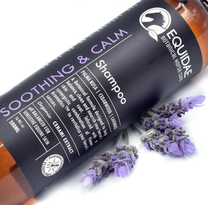 Bottle of natural horse shampoo for horses with dry skin and coats