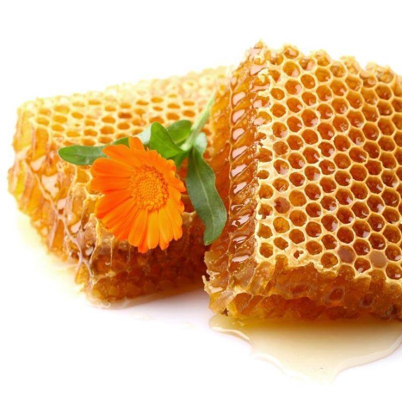 Honey and other ingredients being mixed into natural ointment for horse wounds.